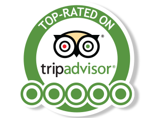 Tripadvisor Review