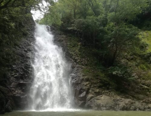 Exploring Hidden Beaches and Waterfalls by ATV in Malpaís